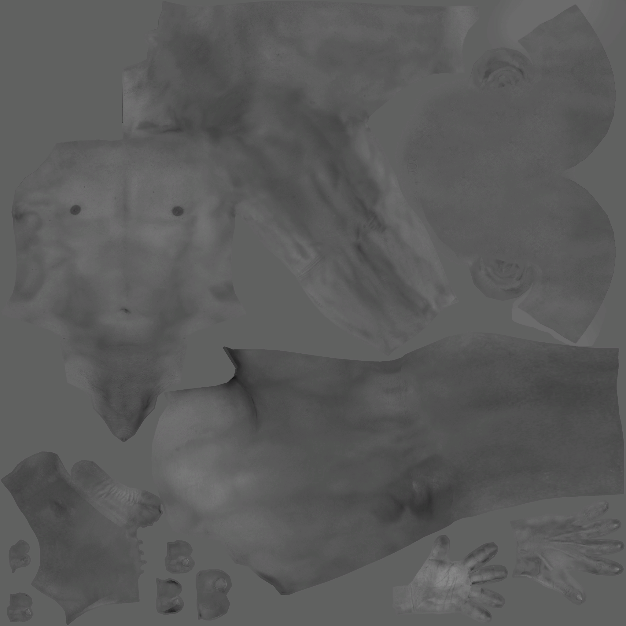 FC_M_0000_a (2).png